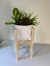 Load image into Gallery viewer, RWH Boho Plant Stand - 8&quot;
